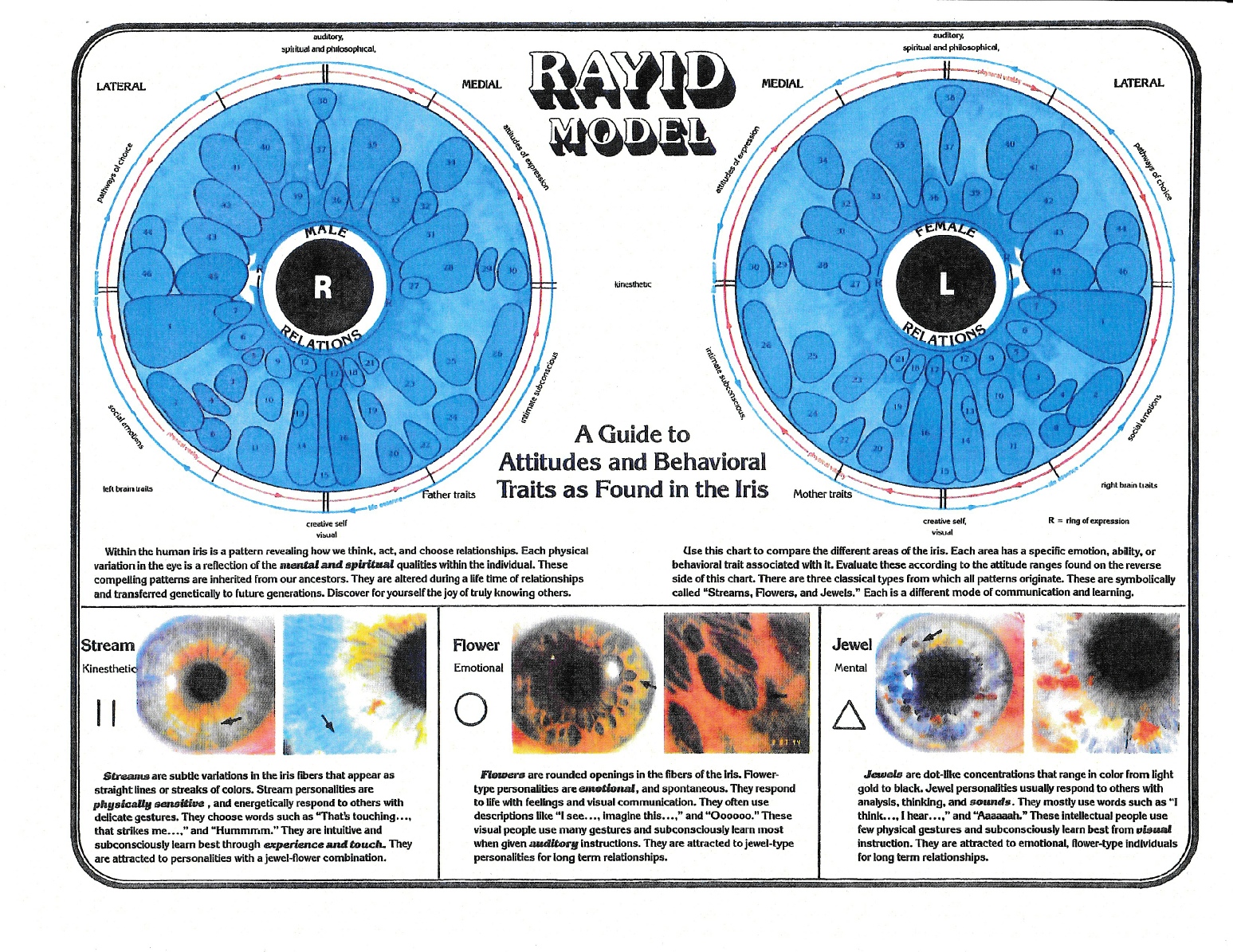 Rayid model.pdf